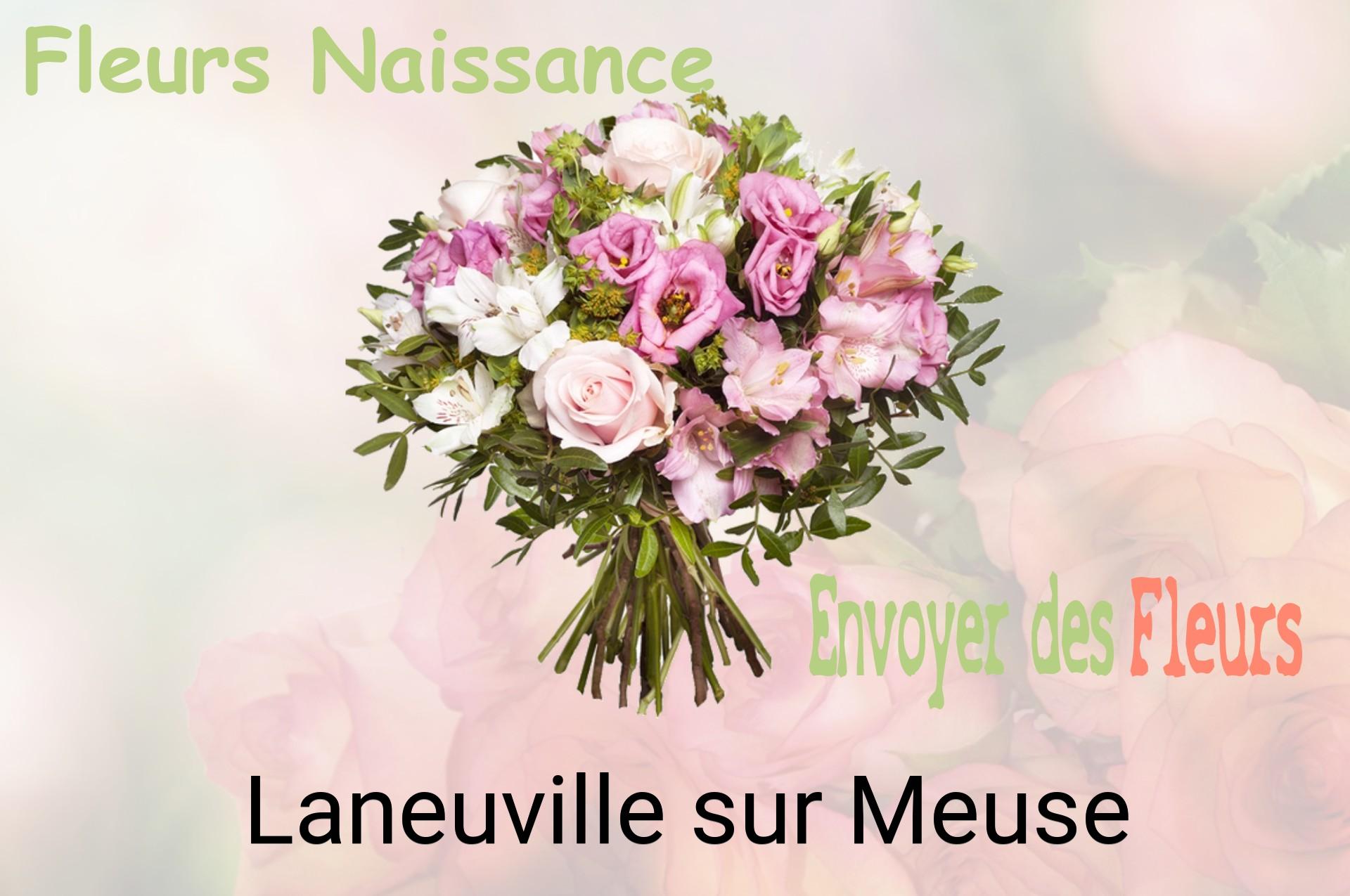 Bouquet de fleurs de naissance livré à Laneuville-sur-Meuse