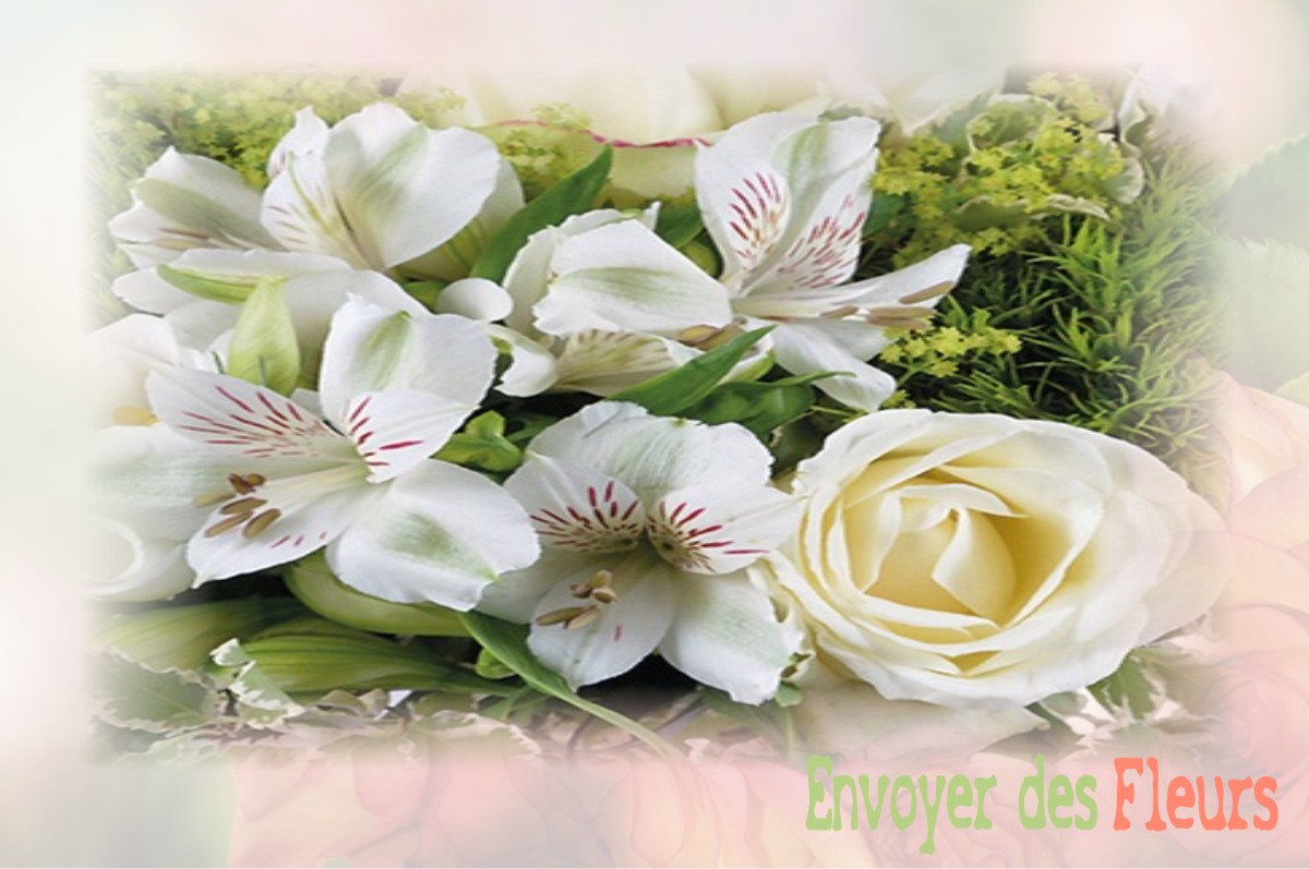 envoyer des fleurs à à LANEUVILLE-SUR-MEUSE