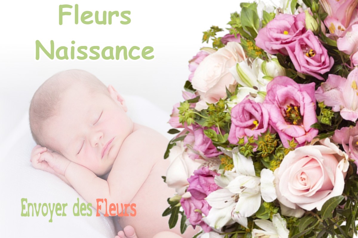 lIVRAISON FLEURS NAISSANCE à LANEUVILLE-SUR-MEUSE